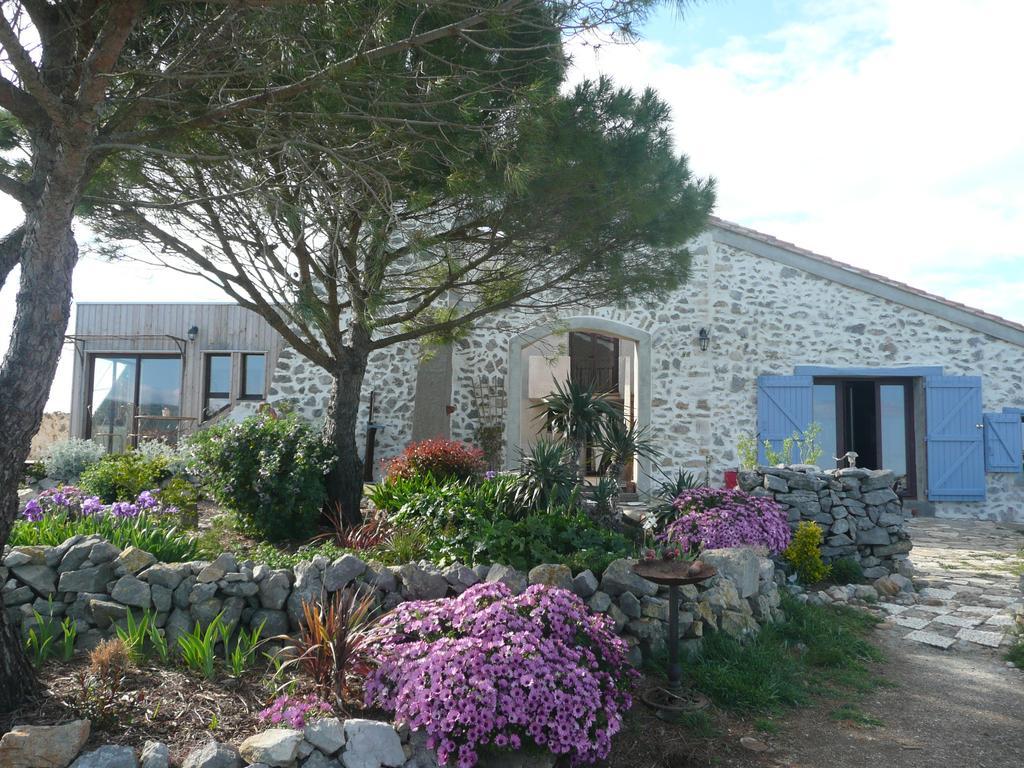 Roquefort-des-Corbières Domaine Castelsec 빌라 객실 사진